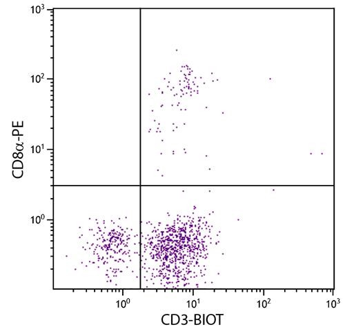 Anti-CD3 (Biotin), clone CT-3