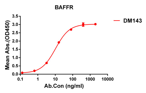 Anti-BAFF-R antibody(DM143), Rabbit mAb