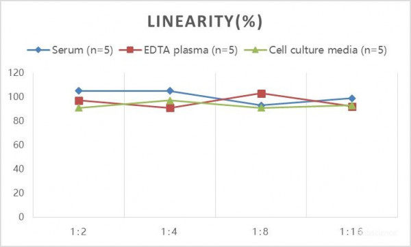 Rat OPG (Osteoprotegerin) ELISA Kit