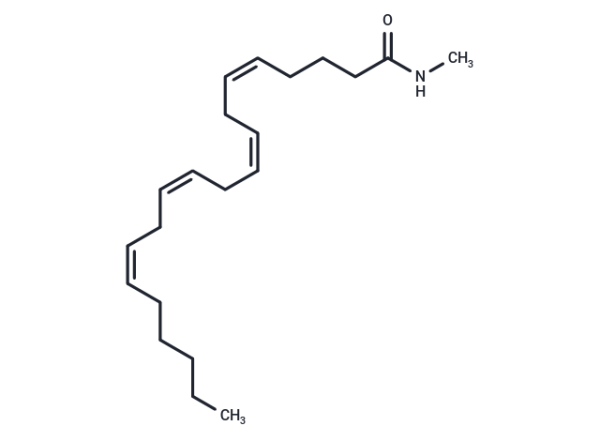 Arachidonoyl-N-methyl amide