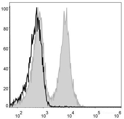 FITC Anti-Mouse CD19 Antibody[1D3]