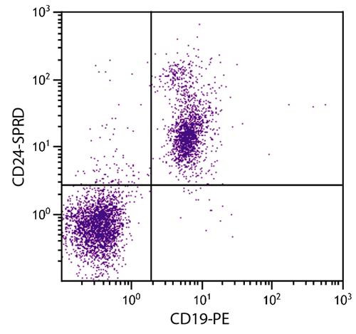 Anti-CD24 (Spectral Red), clone 30-F1