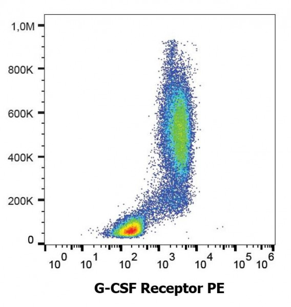 Anti-G-CSF Receptor (PE), clone LMM741