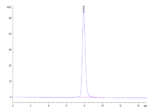 Human AMHRII Protein