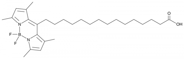 BODIPY-Palmitate