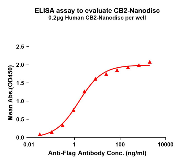 CB2 (human) full length protein-synthetic nanodisc