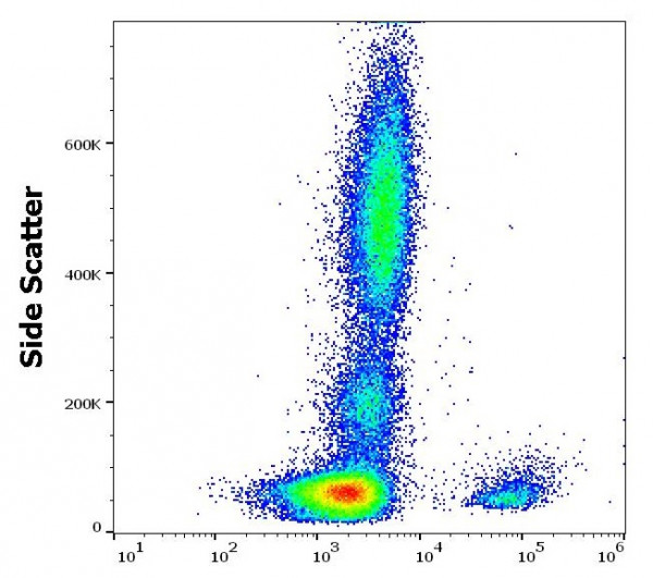 Anti-CD19, clone 4G7