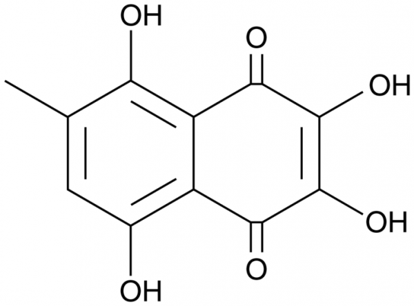 Methylspinazarin