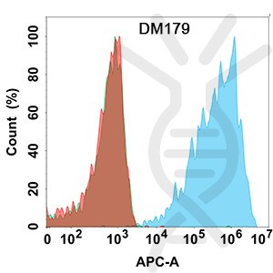 Anti-CLDN18.2 antibody(DM179), Rabbit mAb