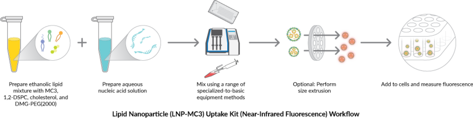 Lipid Nanoparticle (LNP-MC3) Uptake Kit (Near-Infrared Fluorescence ...