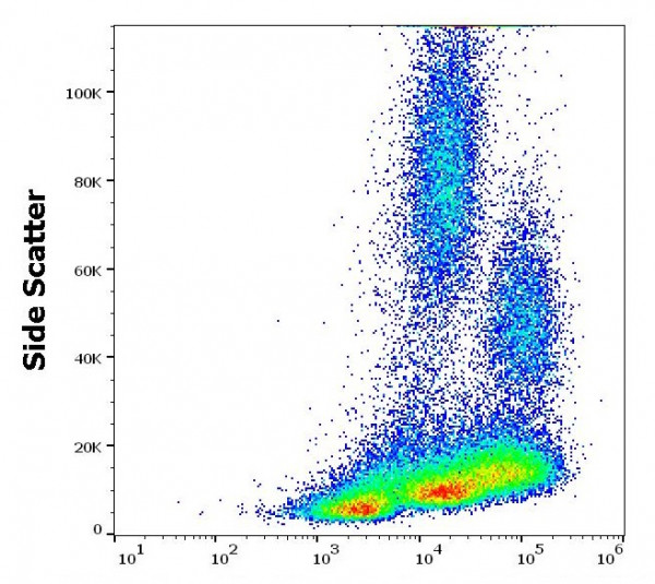 Anti-CD11a / LFA-1 alpha chain, clone MEM-25 (low endotoxin)