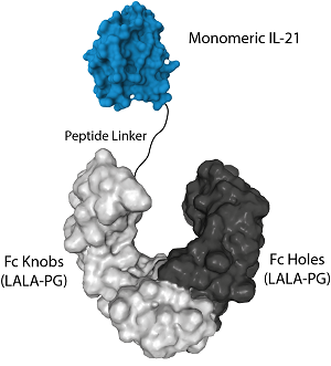 IL-21 (human) (monomeric):Fc (LALA-PG)-KIH (human) (rec.)