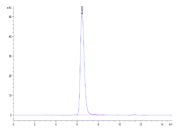 Human B7-H5/Gi24/VISTA Protein