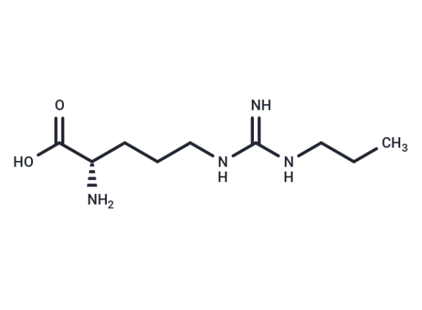 Nomega-Propyl-L-arginine