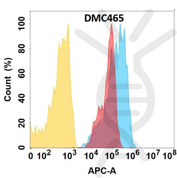 Anti-CCR1 antibody(DMC465), IgG1 Chimeric mAb