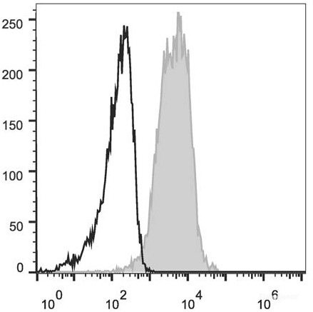 Anti-Mouse CD1d (AF647 Conjugated)[19G11], clone 19G11