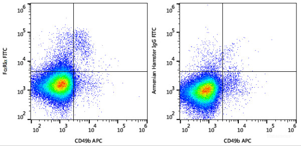 Anti-Mouse FcepsilonRIalpha (FITC Conjugated)[MAR-1], clone MAR-1