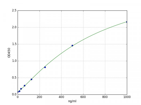 Mouse MIF ELISA Kit