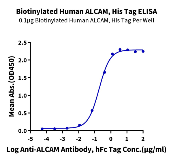 Biotinylated Human ALCAM/CD166 Protein