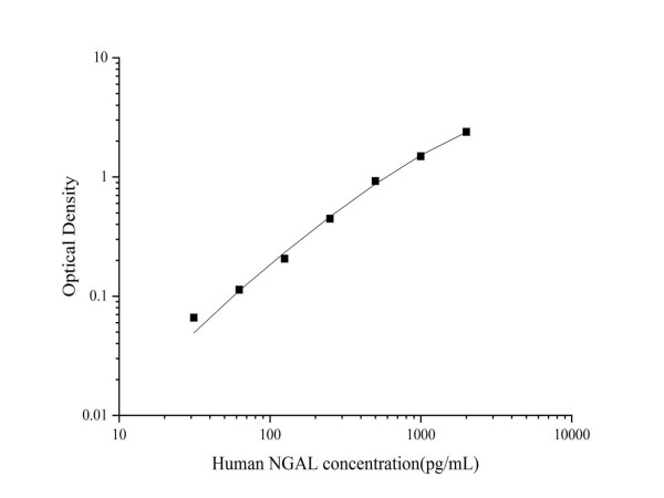 Anti-Lipocalin-2/NGAL (Capture/Detector)