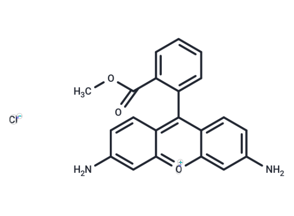 Rhodamine 123