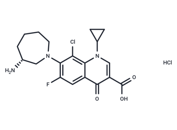 Besifloxacin Hydrochloride