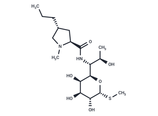 Lincomycin