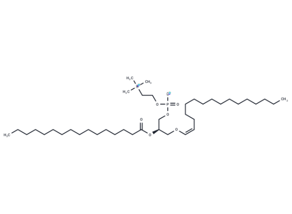 1-1(Z)-Hexadecenyl-2-Palmitoyl-sn-glycero-3-PC