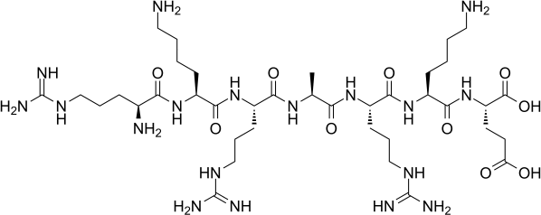 PKG inhibitor peptide