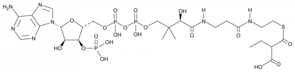 Ethylmalonyl Coenzyme A (sodium salt)