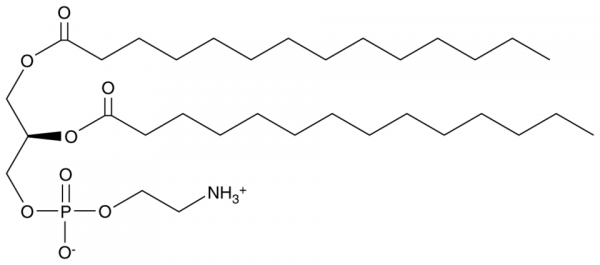 1,2-Dimyristoyl-sn-glycero-3-PE