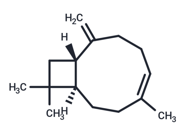 beta-Caryophyllene