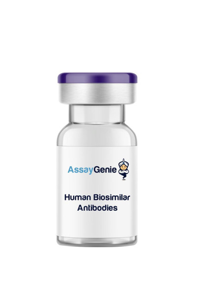 Anti-EGFR (Cetuximab Biosimilar In Vivo Antibody (Fc Reduced))