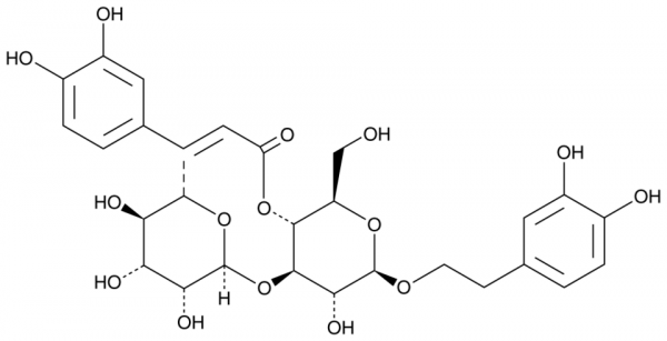 Verbascoside