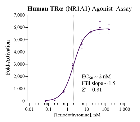 TRalpha (human) Reporter Assay Kit