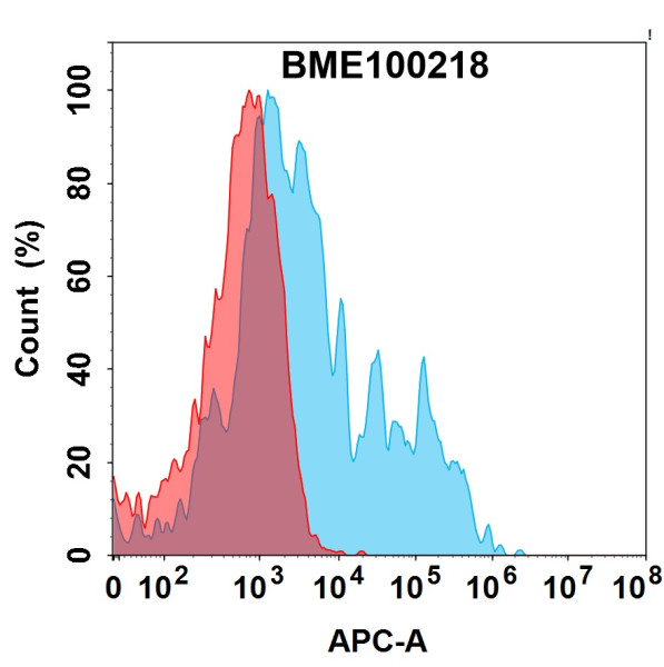 Anti-CD73(BMS 986179) mAb