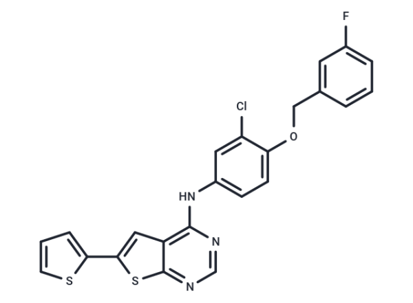 EGFR/ErbB-2 inhibitor-1