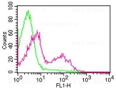 Anti-Mouse CD3 (Clone: 145-2C11) FITC conjugated