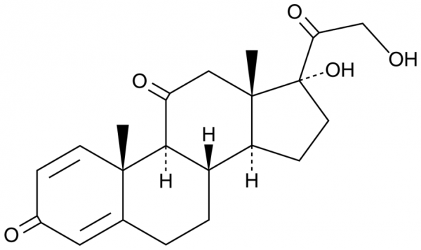 prednisolone preis deutschland