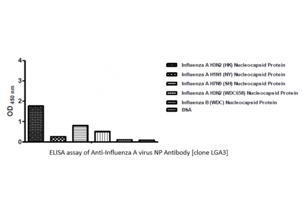 Anti-Influenza A virus NP Antibody [clone LGA3]