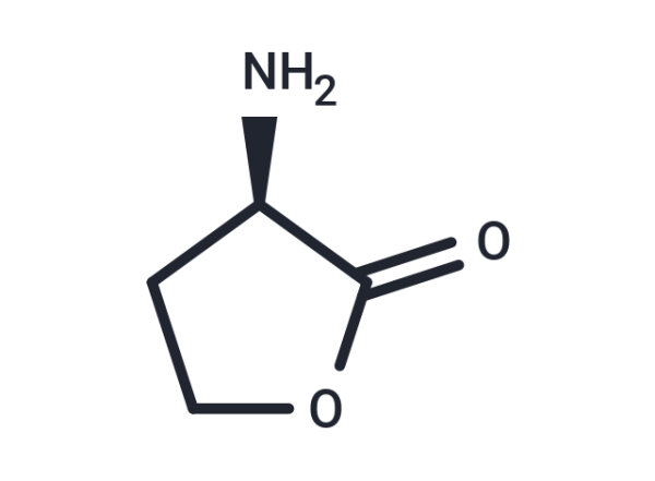 D-Homoserine lactone