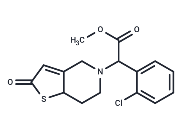 2-oxo Clopidogrel