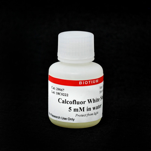 Calcofluor White Stain, 5 mM in water
