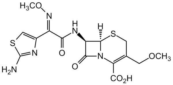 Cefpodoxime