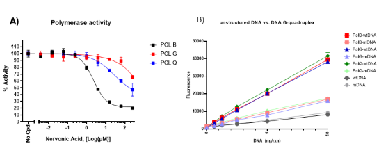 DNA Polymerase theta Assay Kit