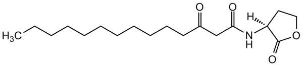 N-(3-Oxotetradecanoyl)-L-homoserine lactone