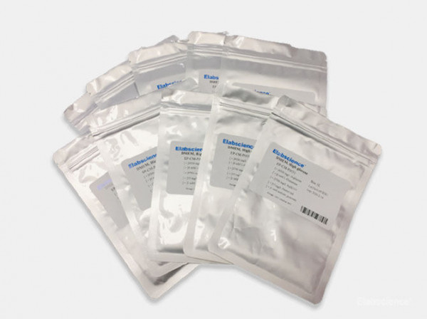 DMEM (High Glucose), powder | Elabscience | Biomol.com