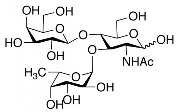 Lewis X Trisaccharide