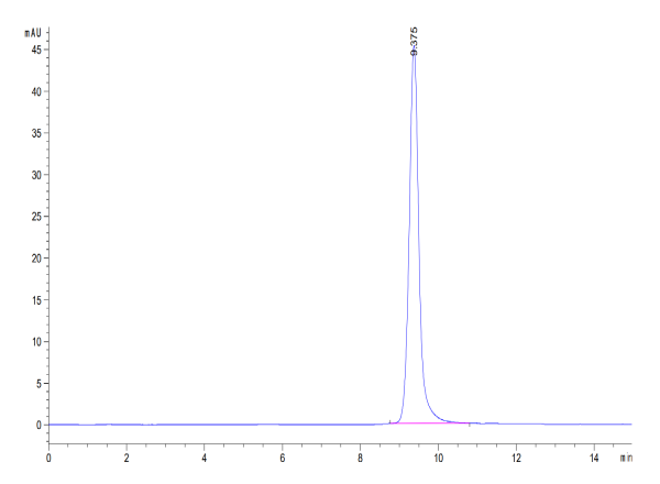 Human Annexin V/ANXA5 Protein