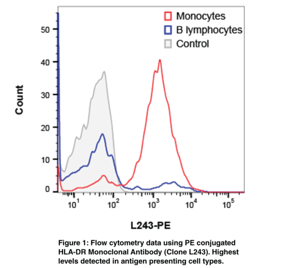 Anti-HLA-DR (Clone L243)